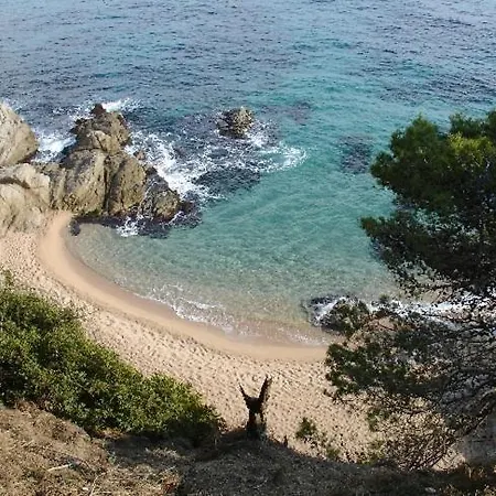 Laurel Lloret de Mar