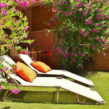 Laurel * リョレート・デ・マル